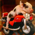 Piggy on Little Bike